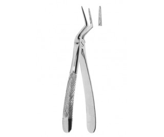 Extracting Forceps English pattern